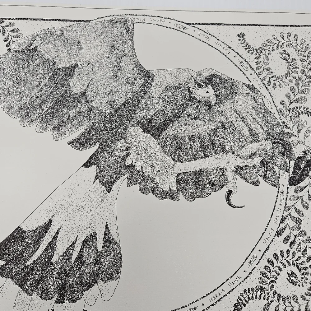 Artist Mafe harris hawk